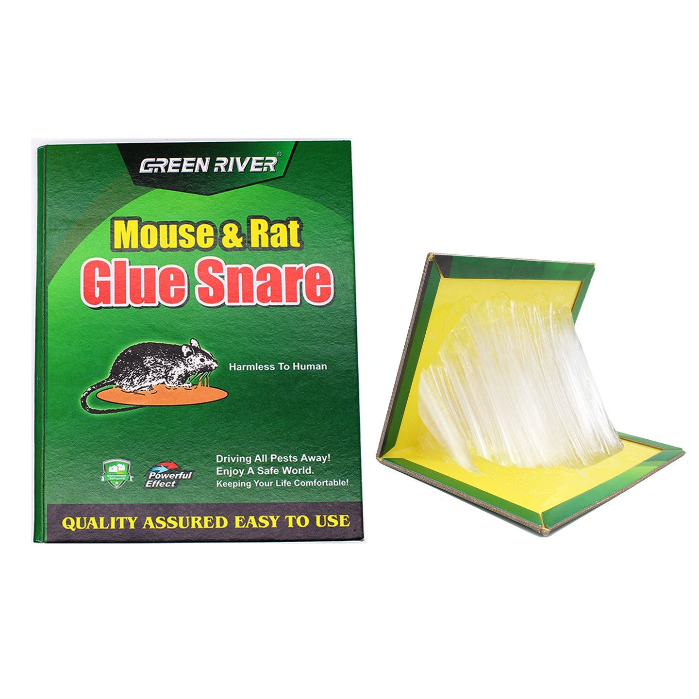Tablero de pegamento para ratas
